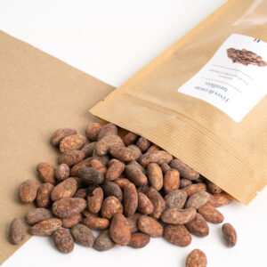 Fèves de cacao torréfiées