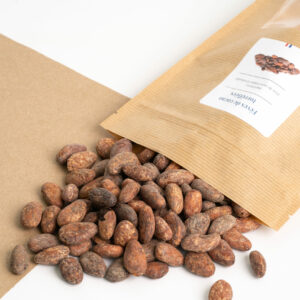 Fèves de cacao torréfiées