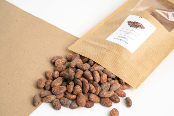 Fèves de cacao torréfiées