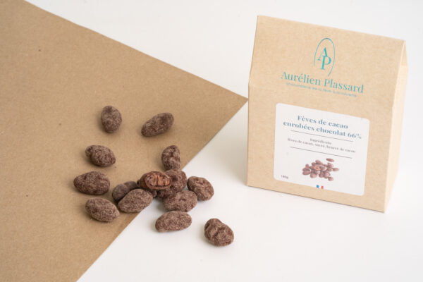 Fèves de cacao enrobés noir 66%