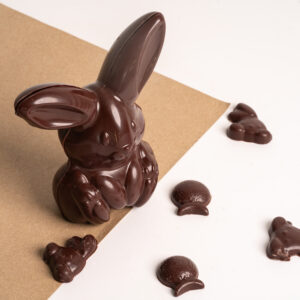 Lapinou noir ou lait